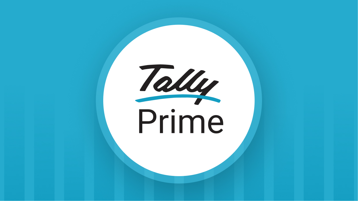 Top Tally Customization Solutions in Vadodara | Boost Efficiency